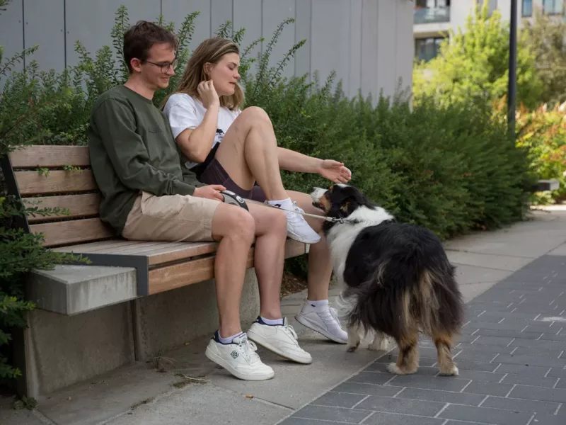 Quartier d’affaires de Grünewald : un choix de bancs tout en confort